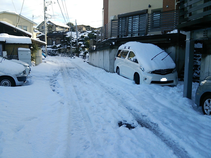 参りました