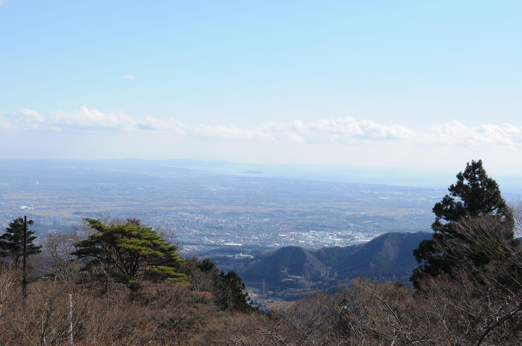 今年も無事に